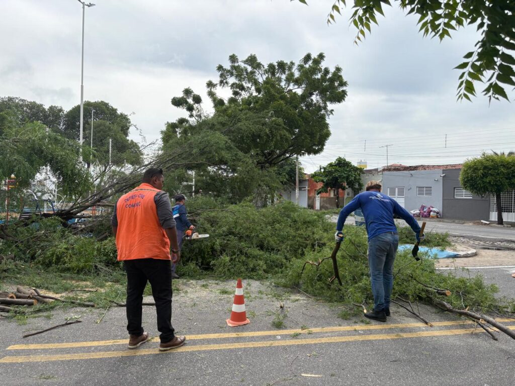 defesa-civil-de-patos-e-secretarias-mobilizam-equipes-apos-fortes-chuvas