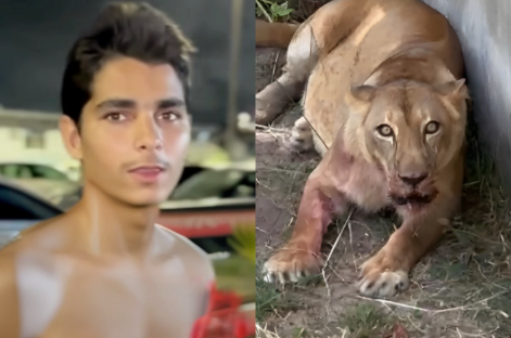 conheca-a-conclusao-do-inquerito-que-apurou-morte-de-jovem-atacado-por-leoa