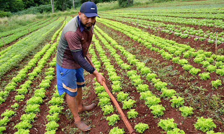 tudo-por-uma-nesga-de-terra  